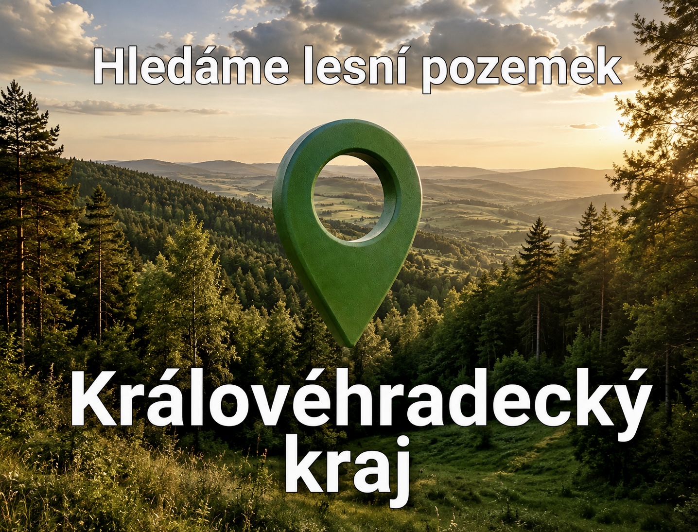 Hledáme lesní pozemek v Královéhradeckém kraji
